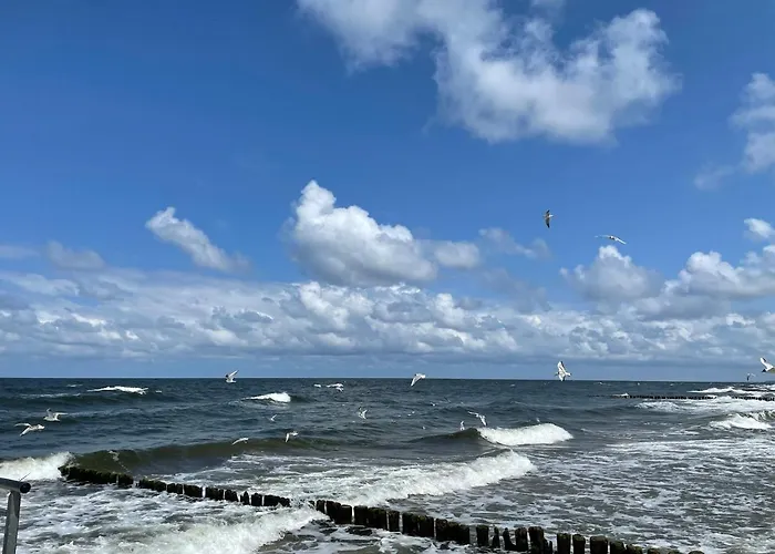 Apartmán Seaside Deluxe 105 *